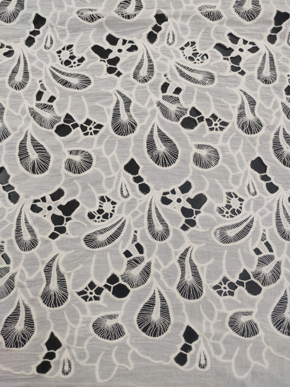 Off White Cotton Cambric Schiffli Embroidery Fabric