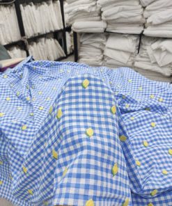 Blue Yarn Dyed Cotton Checks with Lemon Embroidery | Charu Creation