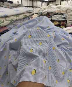 Sky Blue Striped Cotton with Lemon Embroidery | Charu Creation